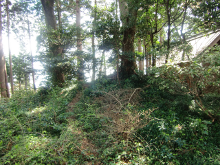 阿伎留城の登城記録(dougenさん)