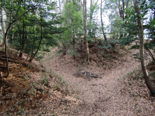 今井城の登城記録(dougenさん)