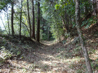 勝沼城の登城記録(dougenさん)