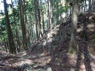 辛垣城の登城記録(dougenさん)