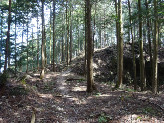 辛垣城の登城記録(dougenさん)