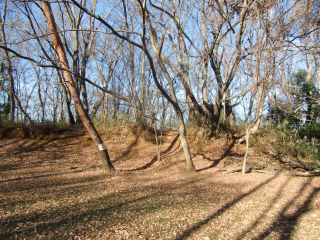 小田野城の登城記録(dougenさん)