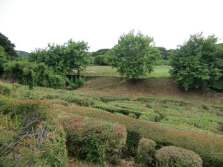 片倉城の登城記録(dougenさん)