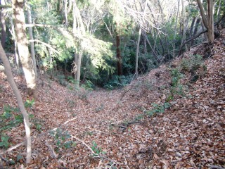 浄福寺城の登城記録(dougenさん)