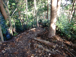 浄福寺城の登城記録(dougenさん)