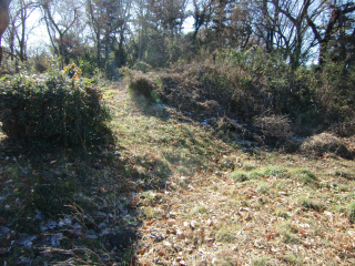 高月城の登城記録(dougenさん)