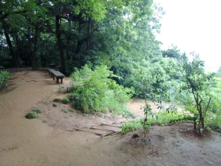 初沢城（椚田城、高乗寺城）の登城記録(dougenさん)