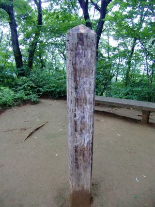 初沢城（椚田城、高乗寺城）の登城記録(dougenさん)