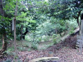 高幡城の登城記録(dougenさん)