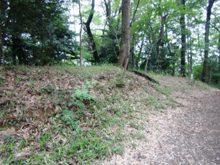 高幡城の登城記録(dougenさん)