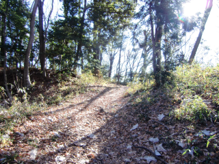 小野路城の登城記録(dougenさん)