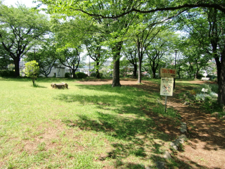 成瀬城の登城記録(dougenさん)