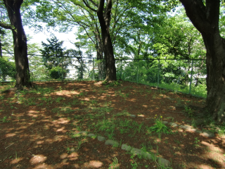 成瀬城の登城記録(dougenさん)