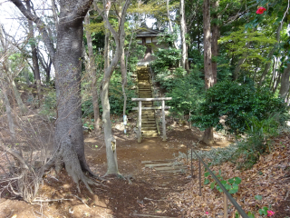 三輪城（沢山城）の登城記録(dougenさん)