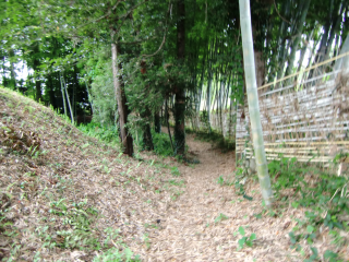 岡崎城の登城記録(dougenさん)