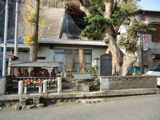 玉縄城（甘縄城）の登城記録(dougenさん)