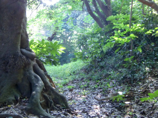 浦賀城の登城記録(dougenさん)