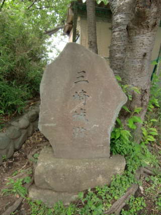 三崎城（三浦城、宝蔵寺城、北条山城）の登城記録(dougenさん)