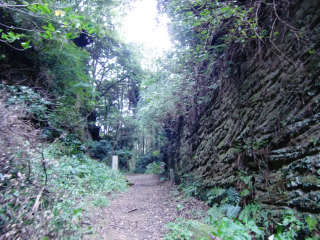 鎌倉城の登城記録(dougenさん)