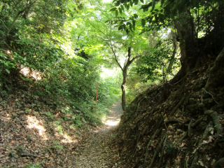 鎌倉城の登城記録(dougenさん)