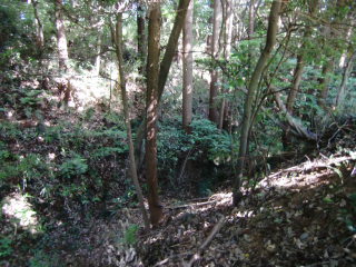 大庭城の登城記録(dougenさん)