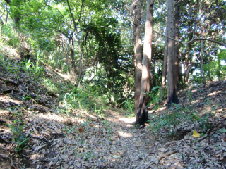 大庭城の登城記録(dougenさん)