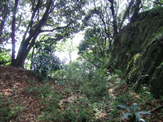 衣笠城の登城記録(dougenさん)