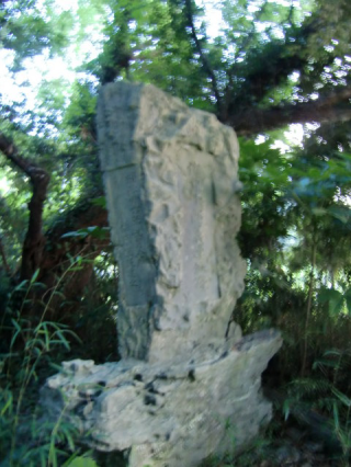 佐原城の登城記録(dougenさん)