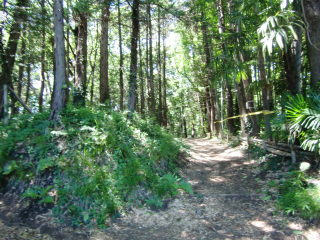 深見城（一ノ関城山、一の関城山）の登城記録(dougenさん)