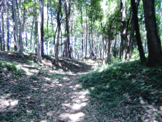 深見城（一ノ関城山、一の関城山）の登城記録(dougenさん)