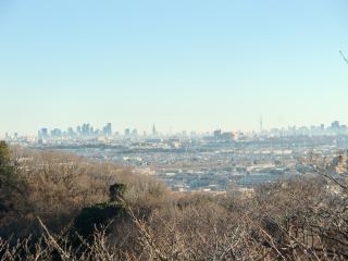 枡形城（枡形山城、桝形山城）の登城記録(dougenさん)