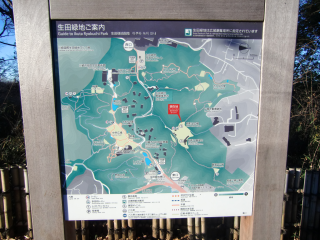 枡形城（枡形山城、桝形山城）の登城記録(dougenさん)