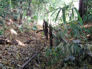 寺尾城〈横浜市〉の登城記録(dougenさん)