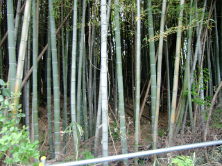 荏田城の登城記録(dougenさん)