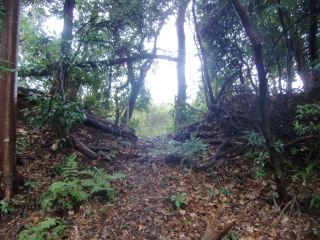 篠原城（金子城、金子出雲守塁）の登城記録(dougenさん)