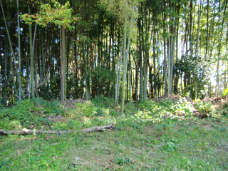 榎下城（久保城）の登城記録(dougenさん)