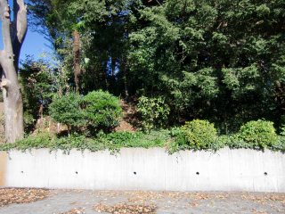 榎下城（久保城）の登城記録(dougenさん)