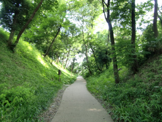 茅ヶ崎城の登城記録(dougenさん)