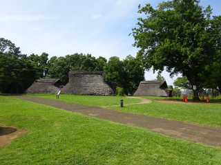 大塚・歳勝土遺跡の登城記録(dougenさん)