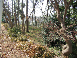 蒔田城（蒔田御所、吉良氏館）の登城記録(dougenさん)