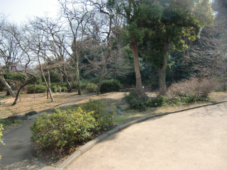 蒔田城（蒔田御所、吉良氏館）の登城記録(dougenさん)