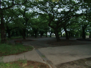 権現山城の登城記録(dougenさん)