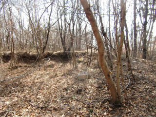 能見城の登城記録(dougenさん)