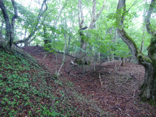 御坂城の登城記録(dougenさん)