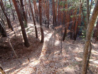 林城の登城記録(dougenさん)