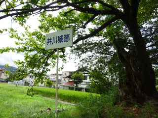 井川館（井川城）の登城記録(dougenさん)