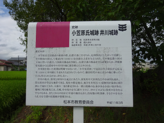 井川館（井川城）の登城記録(dougenさん)