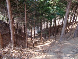 埴原城の登城記録(dougenさん)