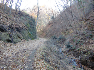 平瀬城の登城記録(dougenさん)