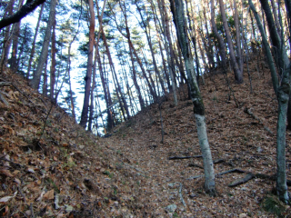 青柳城の登城記録(dougenさん)